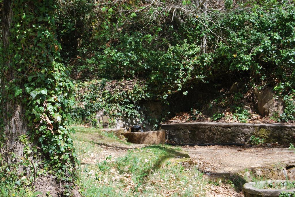 Casa Rural La Cuadraa Linares de Riofrío Екстериор снимка